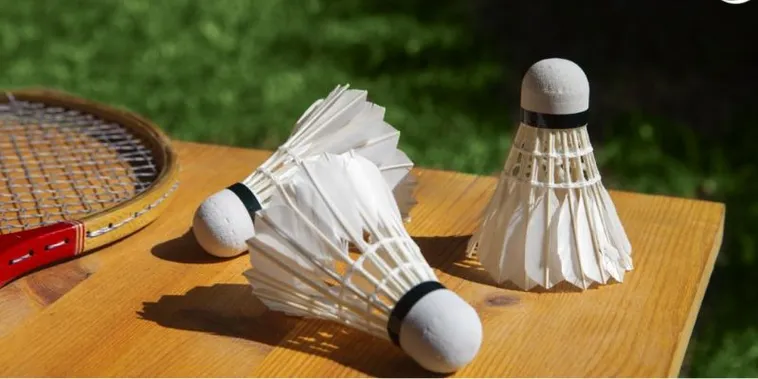 Cá Cược Cầu Lông Fan52 Giúp Bạn Thắng Lớn Mỗi Ngày