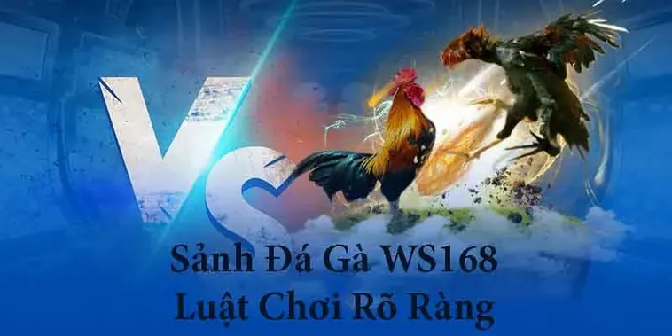 Bí Kíp Chơi Đá Gà WS168 Tại Fan52 Bất Bại Cho Tân Thủ 2 Bí Kíp Chơi Đá Gà WS168 Tại Fan52 Bất Bại Cho Tân Thủ