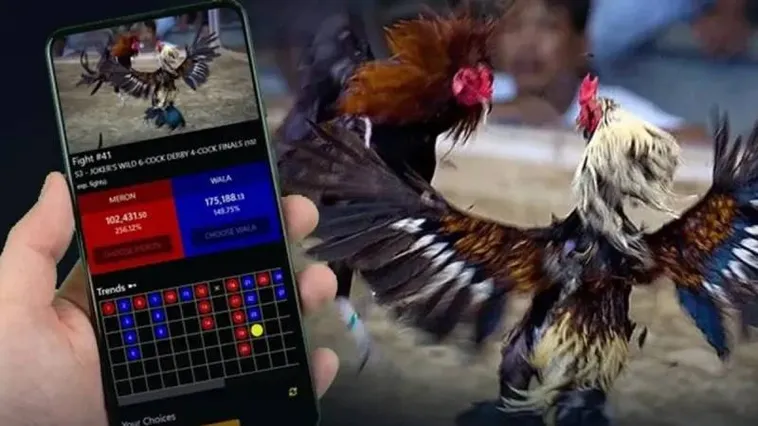 Bí Mật Đá Gà Fan52 Hé Lộ Cách Thắng Cược Tiền Tỷ 1 Bí Mật Đá Gà Fan52 Hé Lộ Cách Thắng Cược Tiền Tỷ