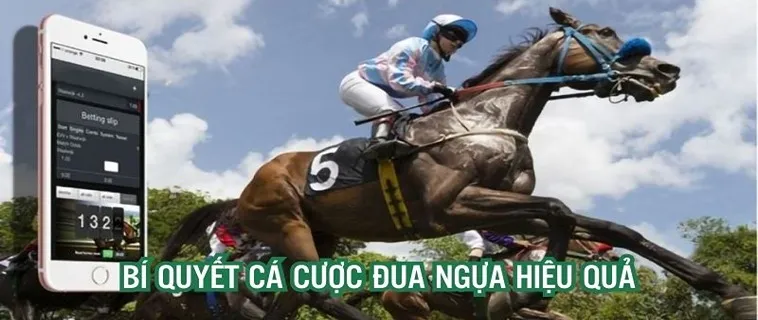 Chinh Phục Trường Đua Với Cá Cược Đua Ngựa Fan52 Cực Đỉnh