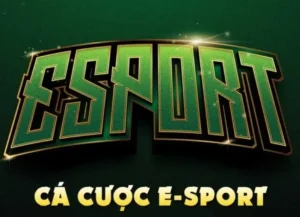 Bí Kíp Cách Chơi Thể Thao Điện Tử Tại Fan52 Luôn Thắng